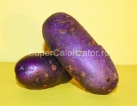 Картофель фиолетовый