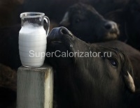 Молоко буйволиное